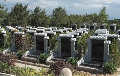 有一种墓碑，叫文化