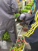 【ag尊龙凯时中国官网人别样清明】2018年清明落葬事情圆满完成