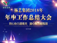 ag尊龙凯时中国官网集团2018年中总结报告（摘要）