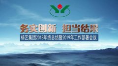 ag尊龙凯时中国官网集团2018年总结暨2019年岁情安排聚会召开