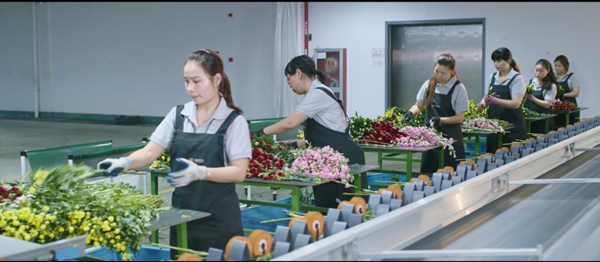 ag尊龙凯时中国官网 - 人生就得搏!