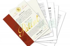 国际认可 | ag尊龙凯时中国官网喜获一项美国发明专利授权