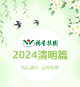 风起清明 遥寄相思|ag尊龙凯时中国官网集团?2024清明篇