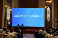 杨桂荣总裁受邀出席安徽省殡葬协会理事聚会 | 老墓园升级实引热议