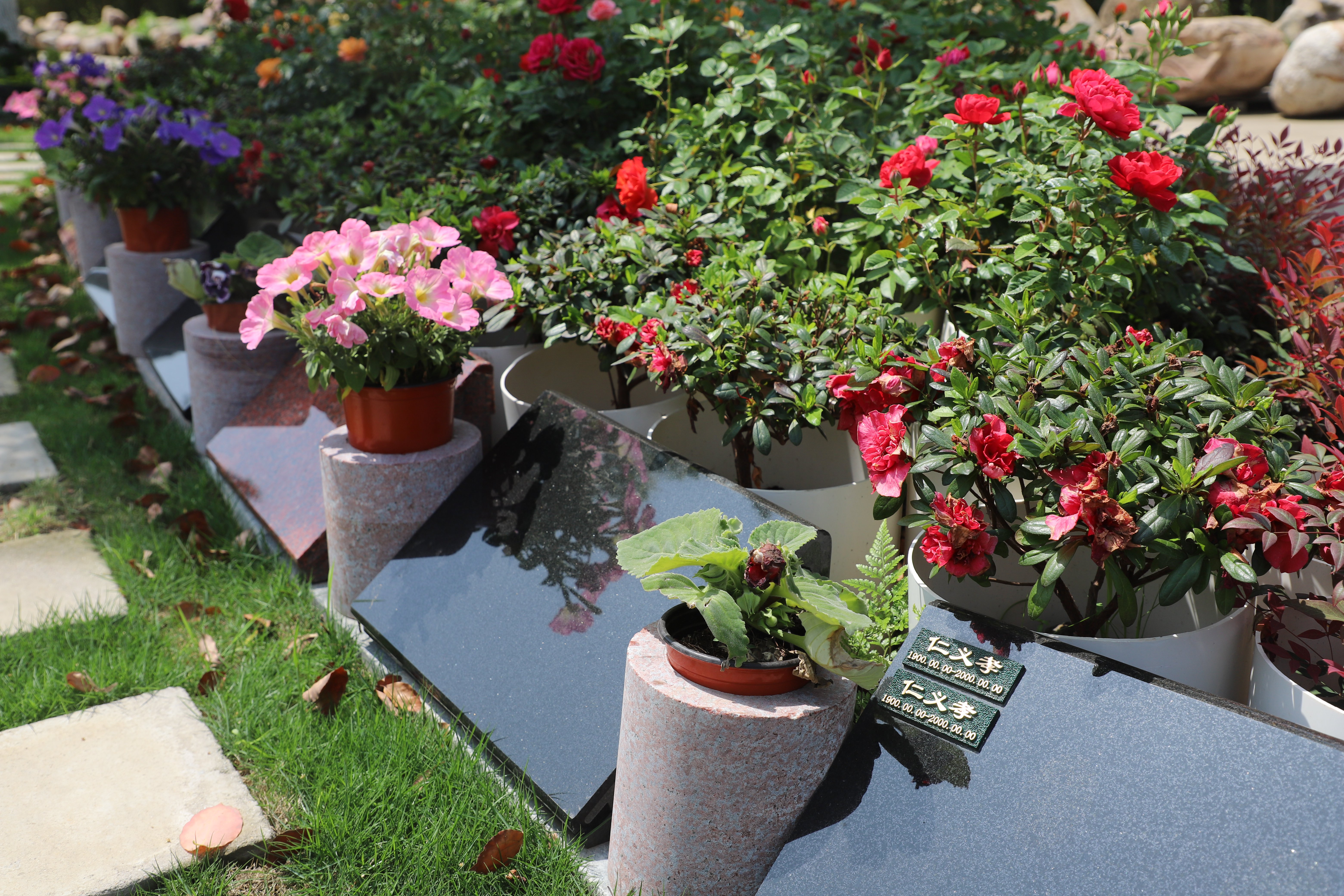 ag尊龙凯时中国官网 - 人生就得搏!