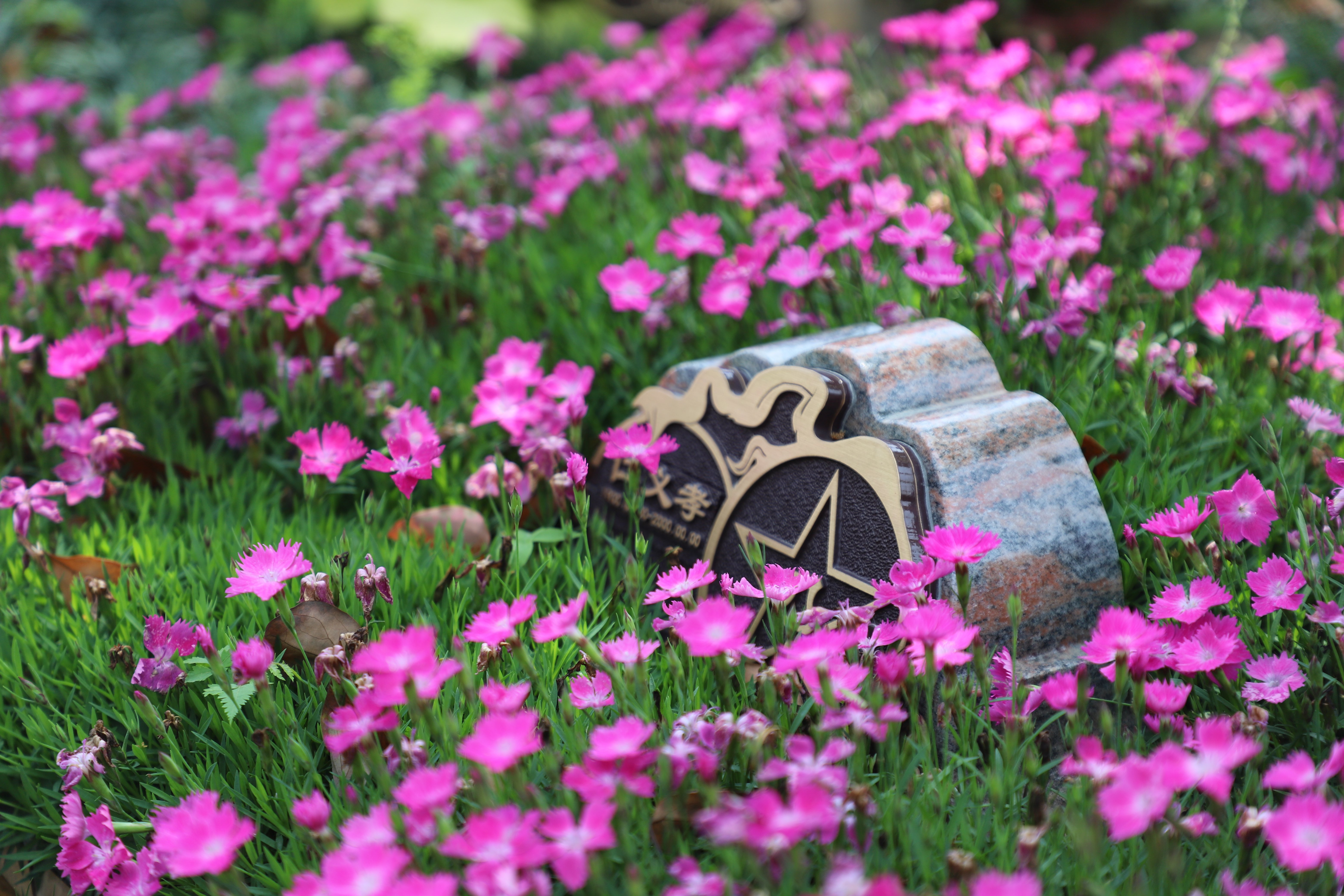 ag尊龙凯时中国官网 - 人生就得搏!