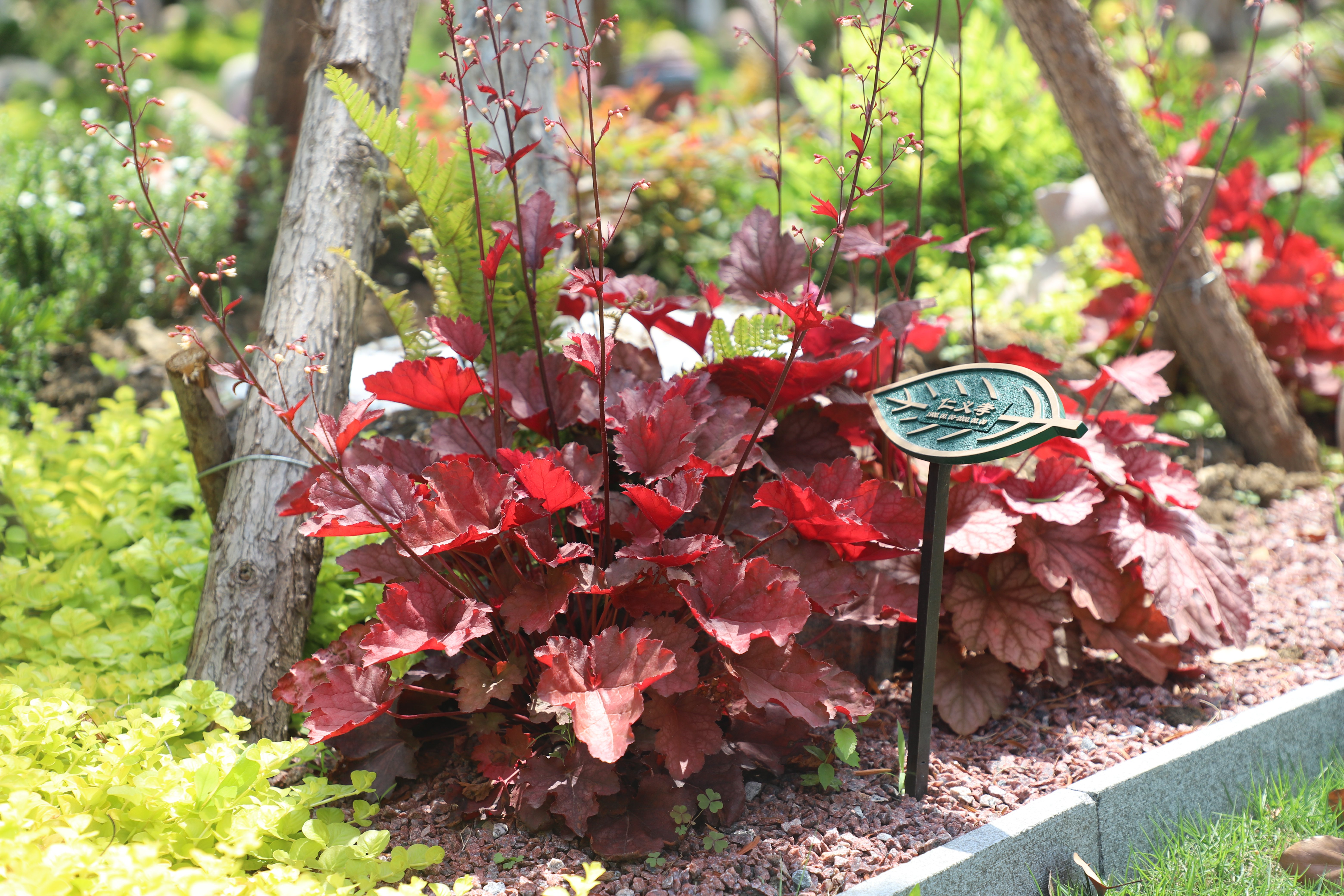 ag尊龙凯时中国官网 - 人生就得搏!