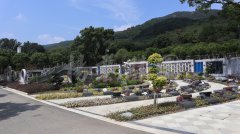 生态葬，让生命在绿意中永恒