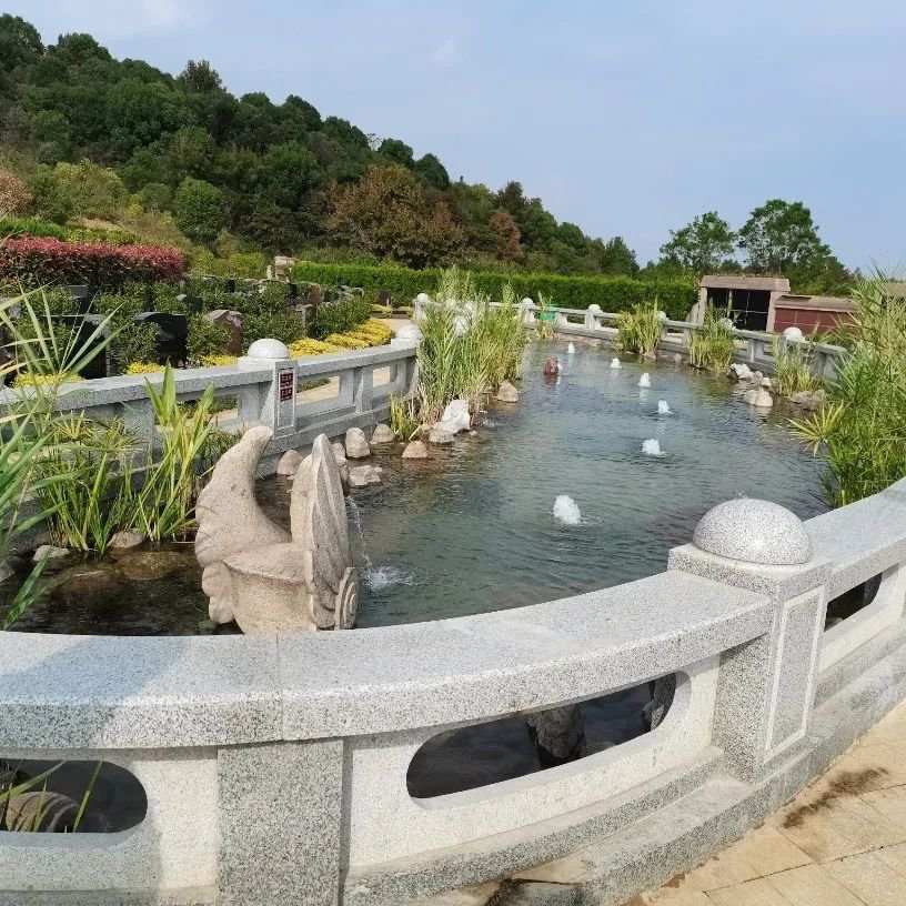 ag尊龙凯时中国官网 - 人生就得搏!