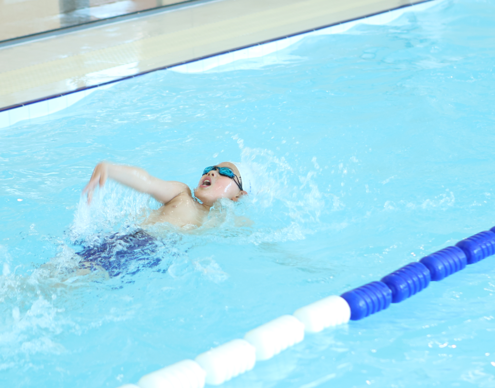 ag尊龙凯时中国官网 - 人生就得搏!