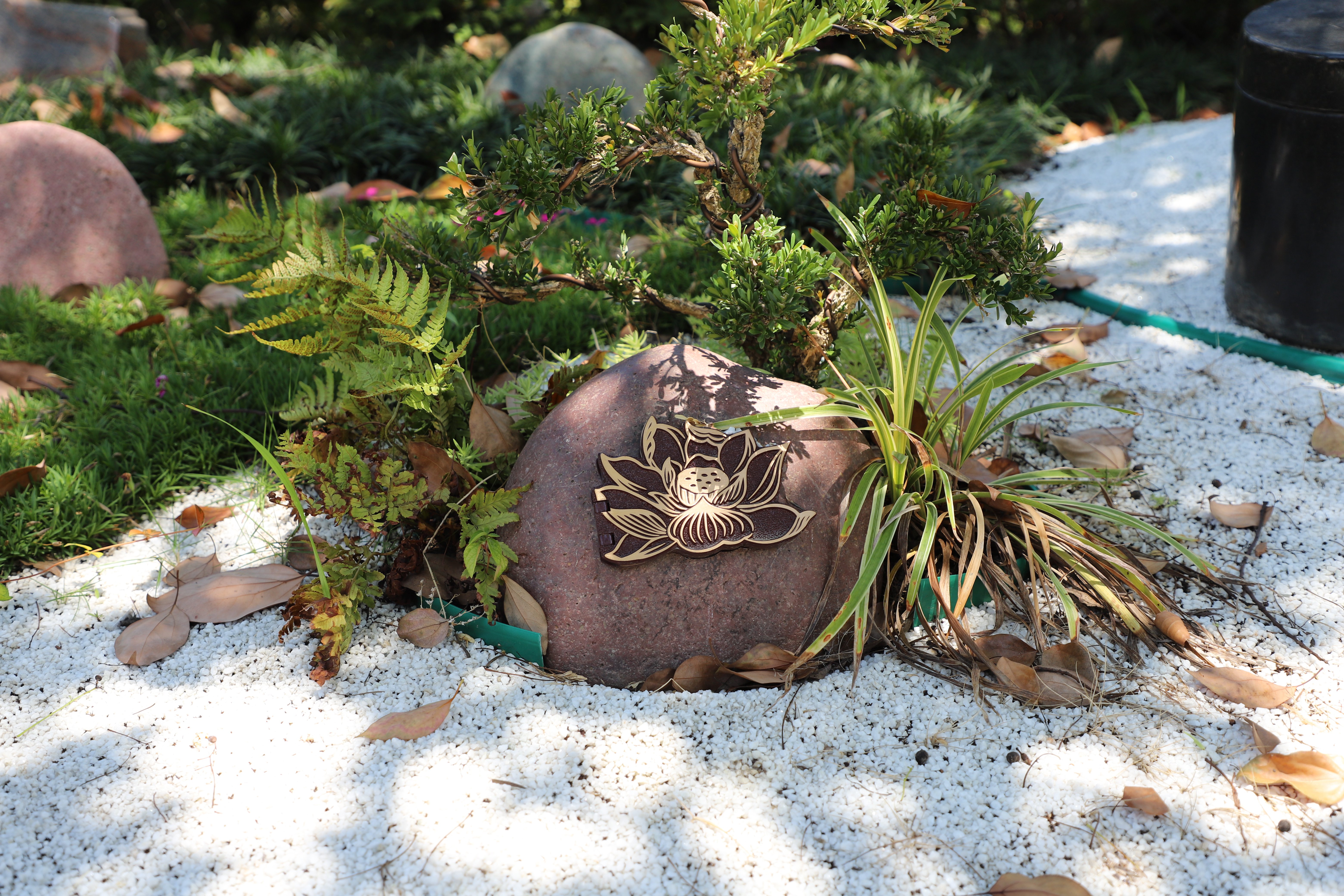 ag尊龙凯时中国官网 - 人生就得搏!