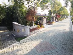 都会最后一平米：生态葬，是与自然的息争？照旧无奈的选择？