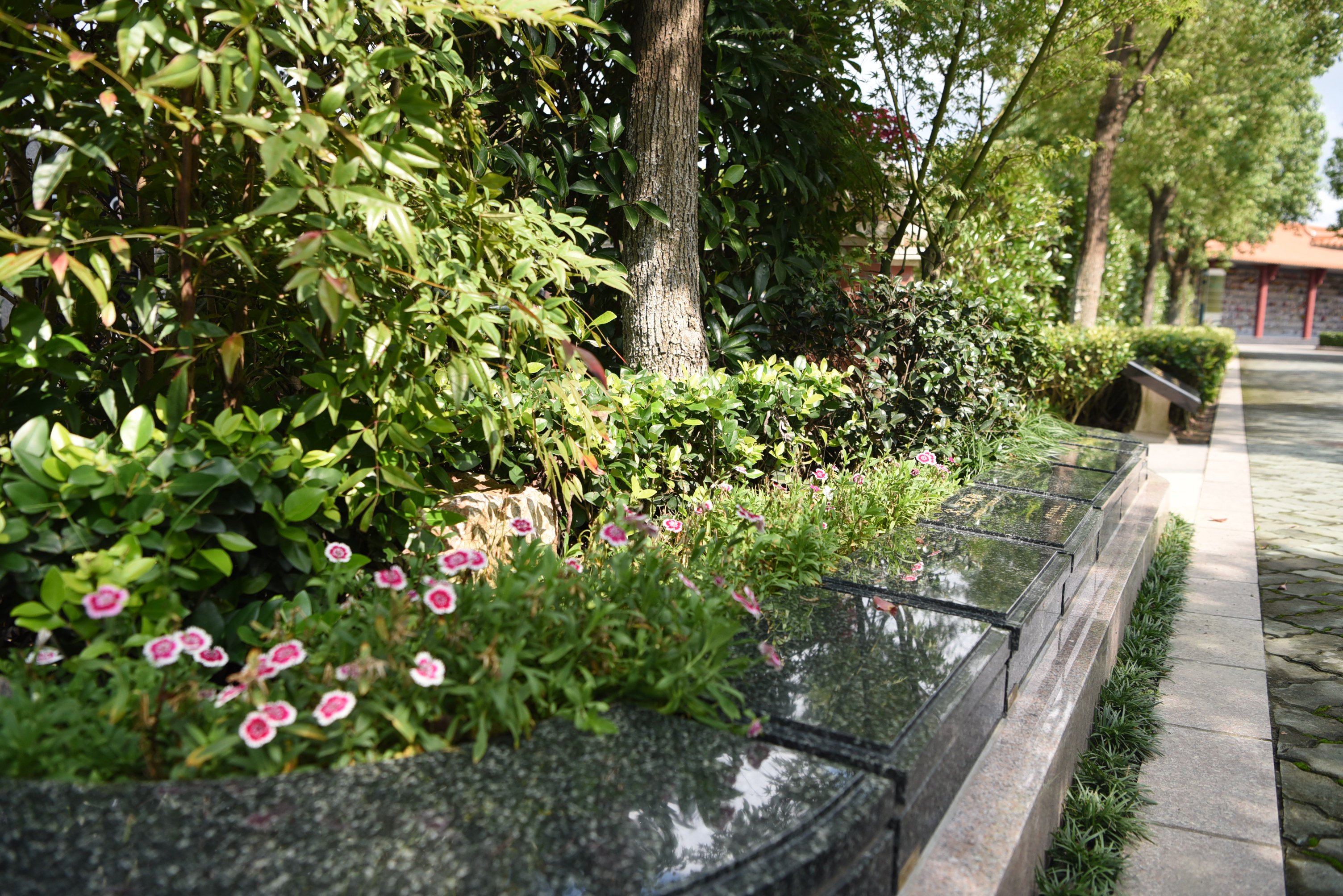 ag尊龙凯时中国官网 - 人生就得搏!