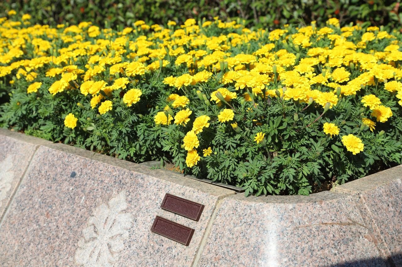 ag尊龙凯时中国官网 - 人生就得搏!