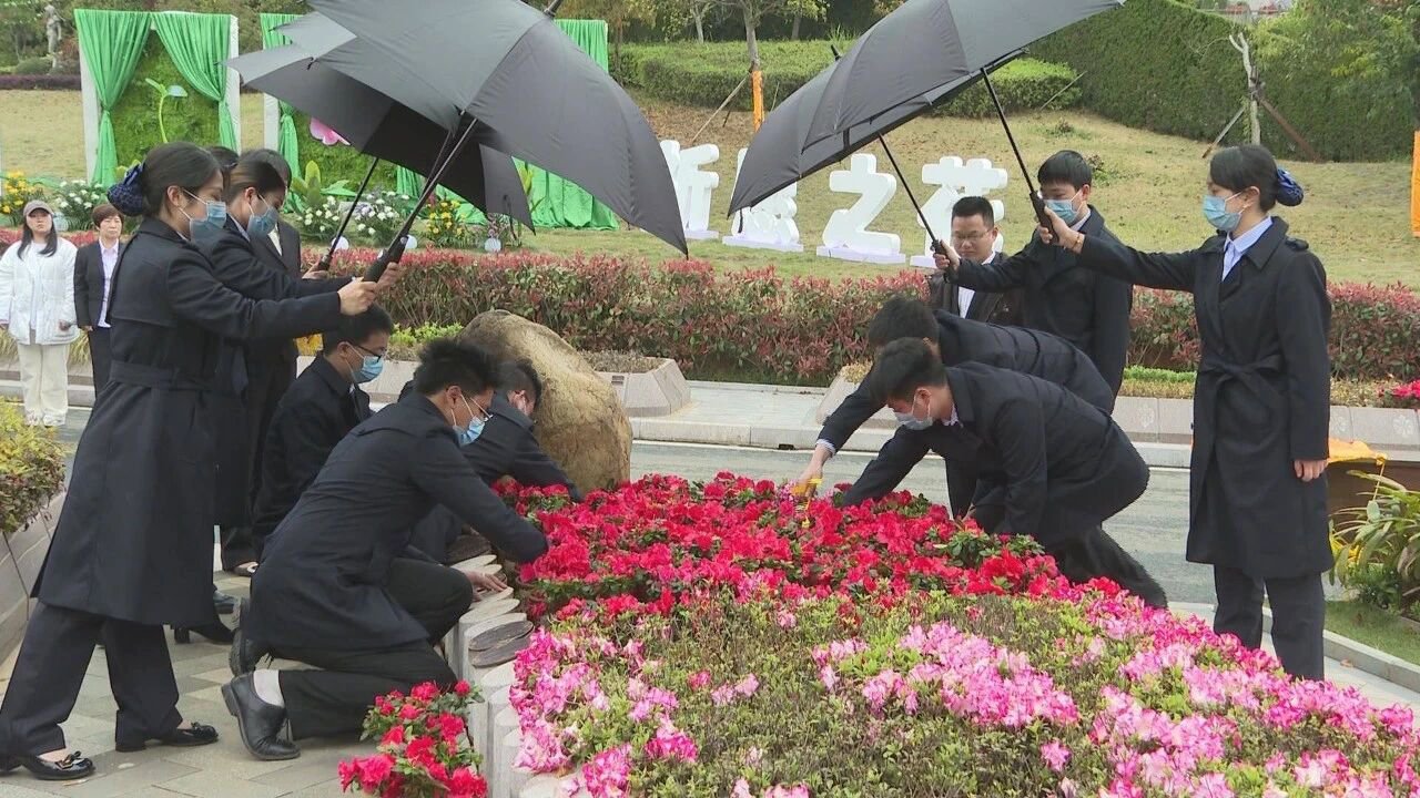 ag尊龙凯时中国官网 - 人生就得搏!