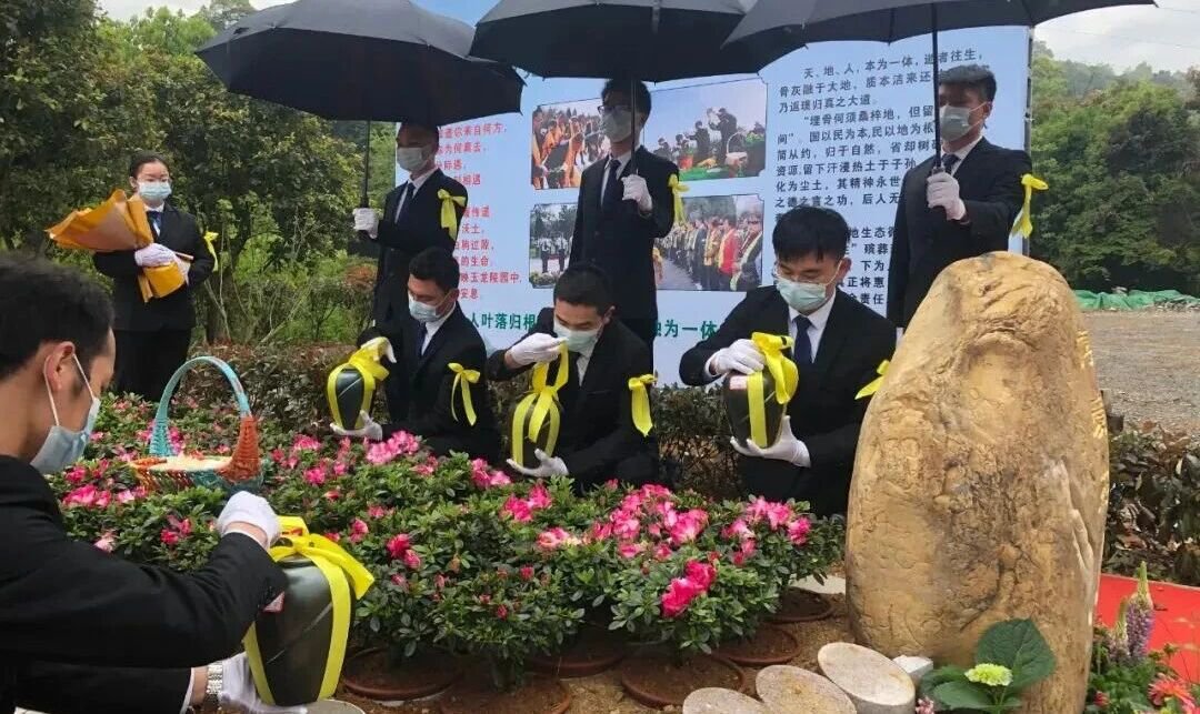 ag尊龙凯时中国官网 - 人生就得搏!