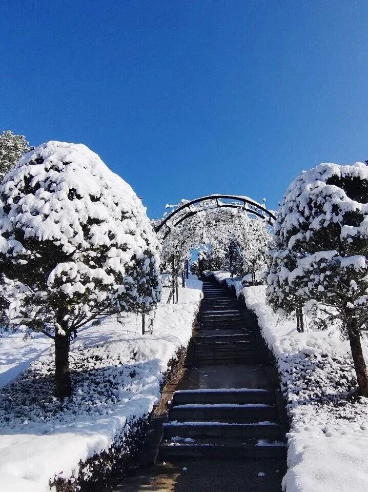 ag尊龙凯时中国官网 - 人生就得搏!