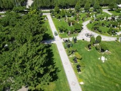 碑雕设计：镌刻历史，传承人文